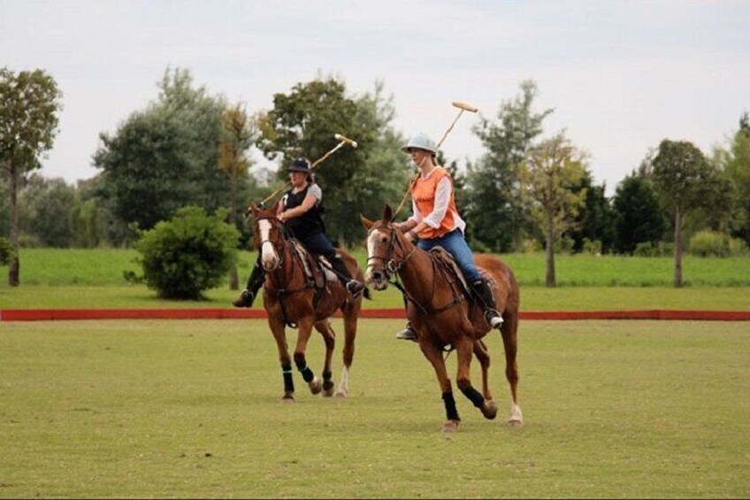 Polo Match, BBQ and Lesson Day-Trip from Buenos Aires