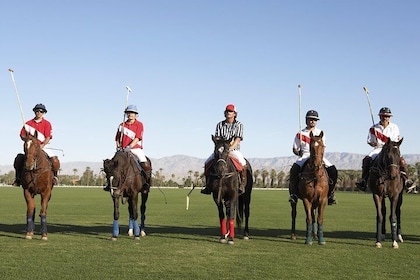 Excursión de un día de clase y partido de polo desde Buenos Aires