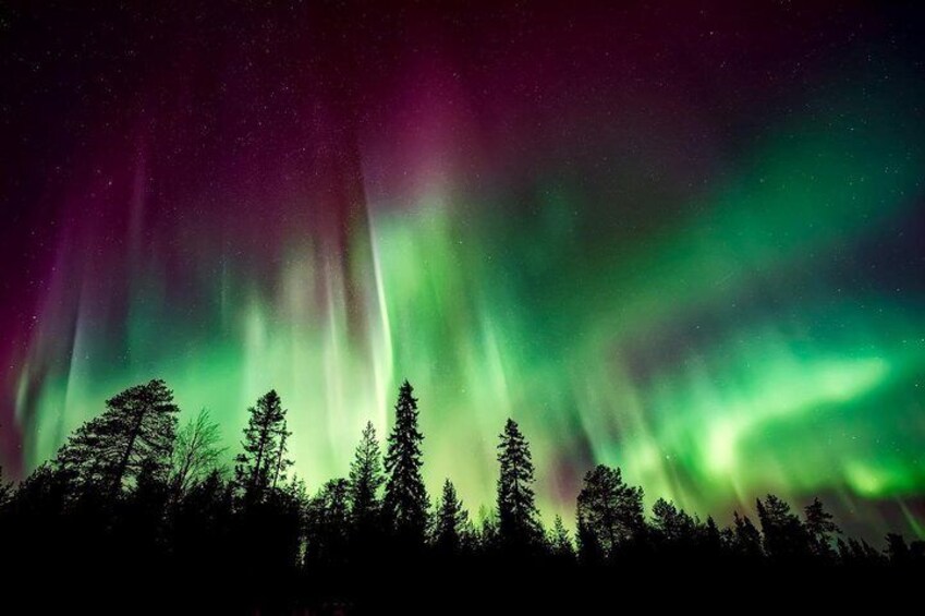 Hunt for the Northern lights in Kiruna - Abisko