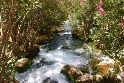 Day Trip to Algar Waterfalls and Guadalest from Calpe or Altea
