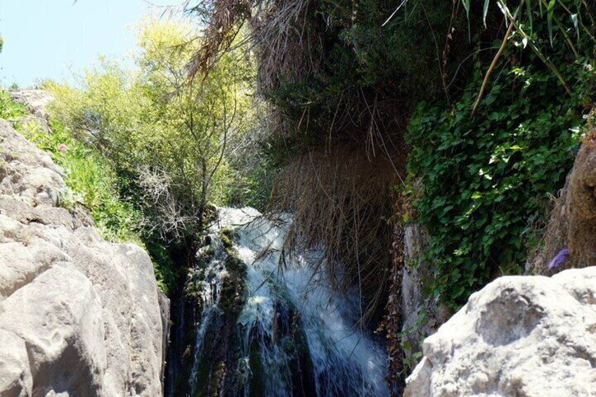 From Albir & Benidorm: Algar Waterfalls Excursion