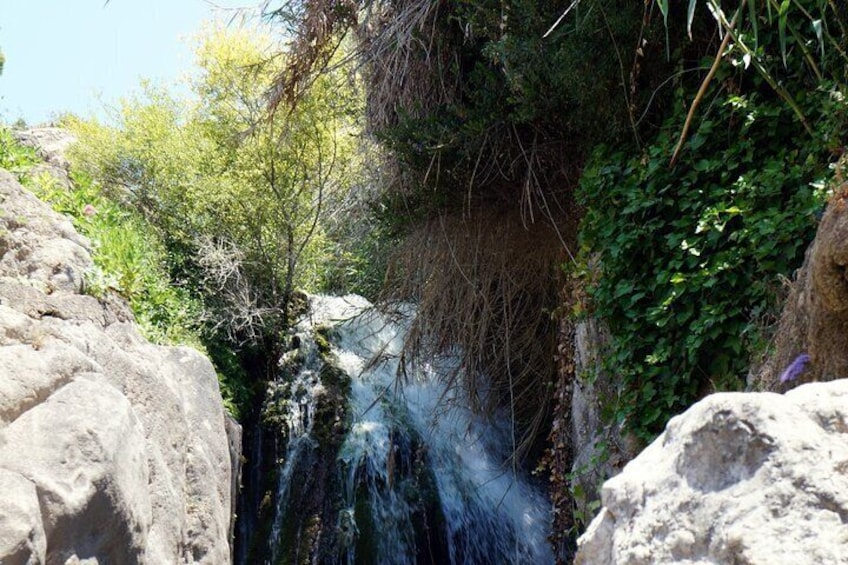 From Albir & Benidorm: Algar Waterfalls Excursion
