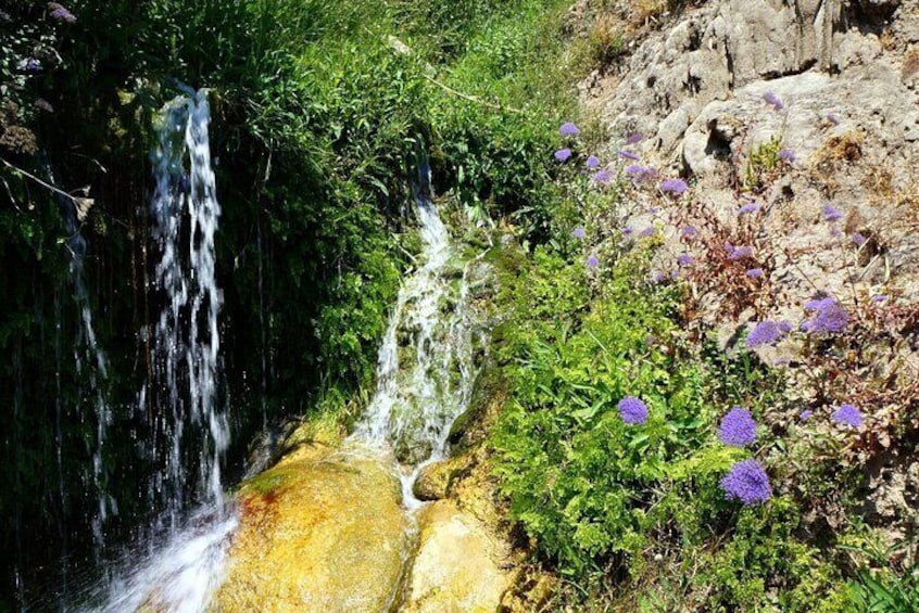 From Albir & Benidorm: Algar Waterfalls Excursion