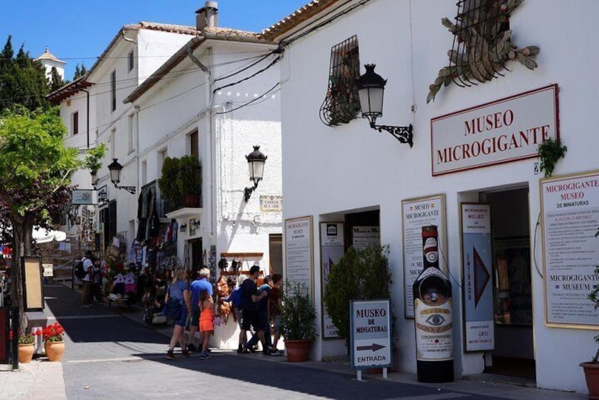 Day Trip to Guadalest from Benidorm or Albir