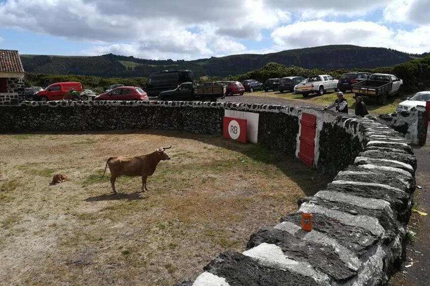 Caldeira Guilherme Moniz (before the bullfight)