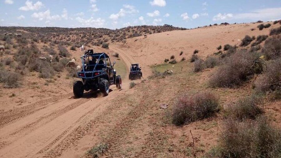 Agadir Half Day Buggy Safari Drive