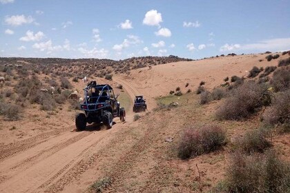 Agadir Desert Adventure : Strandbuggy och sandbrädåkning med pickup