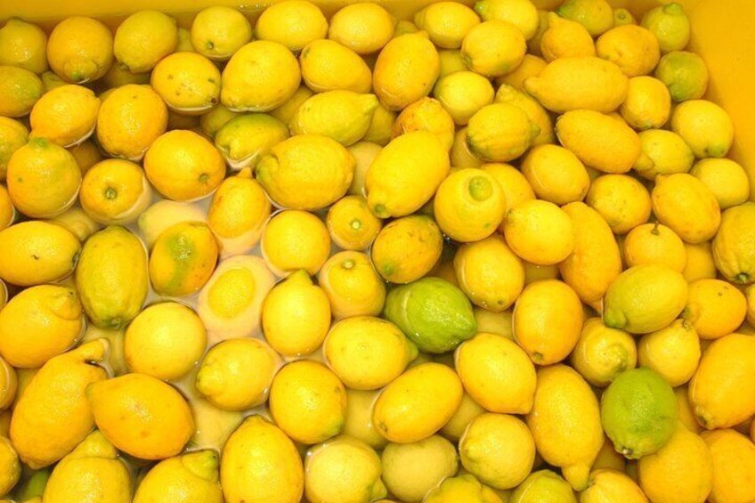 Lemons everywhere