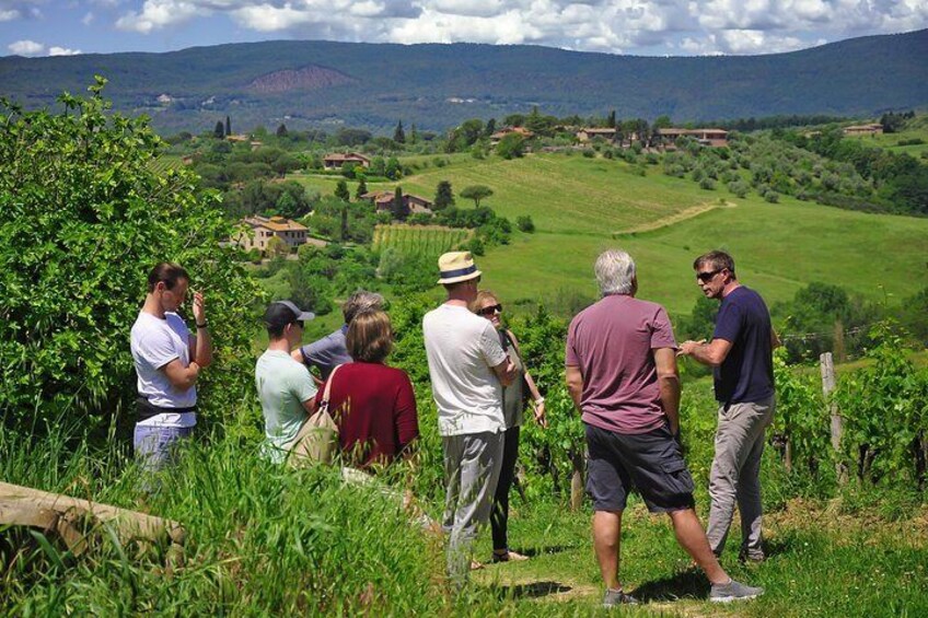 In the vineyards, we will talk about the agronomic cycle of our organic grapes... Educational wine tour & tasting in Siena