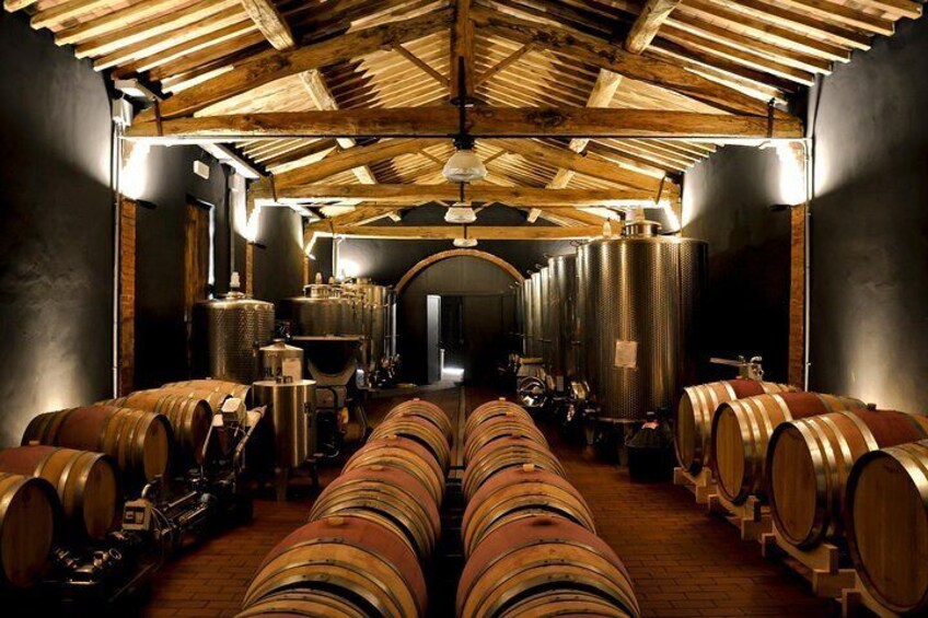 The Cellar where we produce our organic quality wines