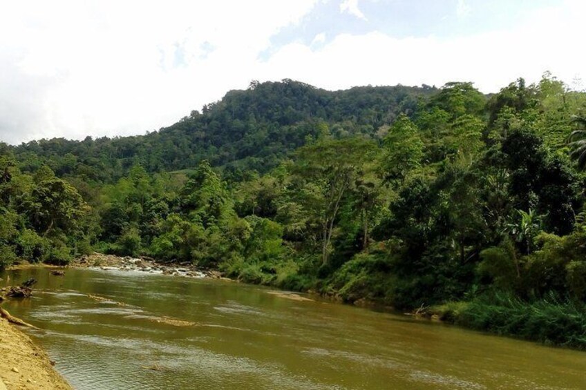 Sinharaja Rain forest tours