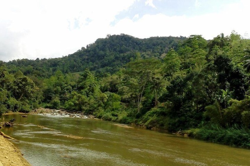 Sinharaja Rain forest tours