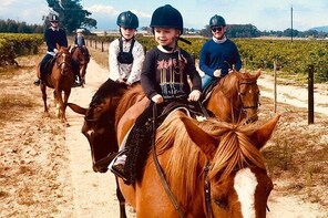 1 Hour Vineyard Trailride