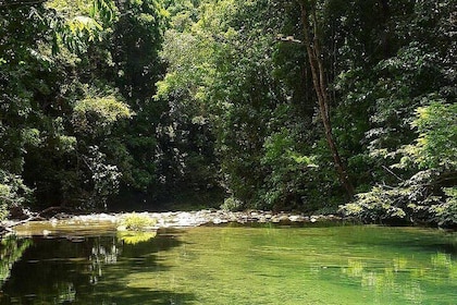 Magical Mermaid Pool and Caroni Swamp