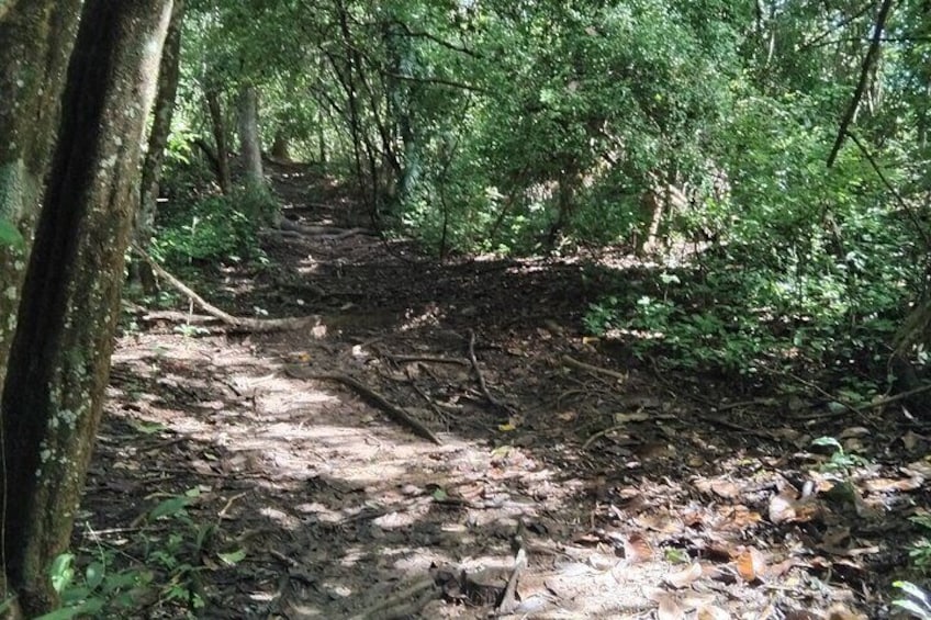Mud Volcano Adventure