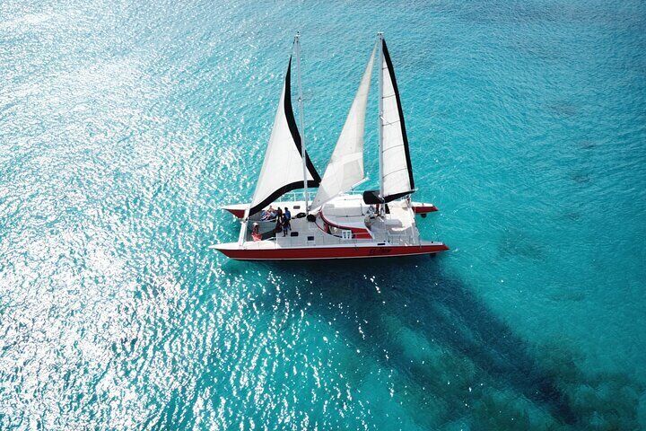 Barbados Catamaran Turtle and Shipwreck Snorkeling Cruise