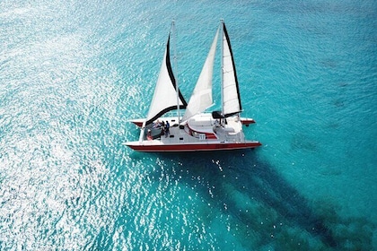 Barbados Catamaran Turtle and Shipwreck Snorkeling Cruise