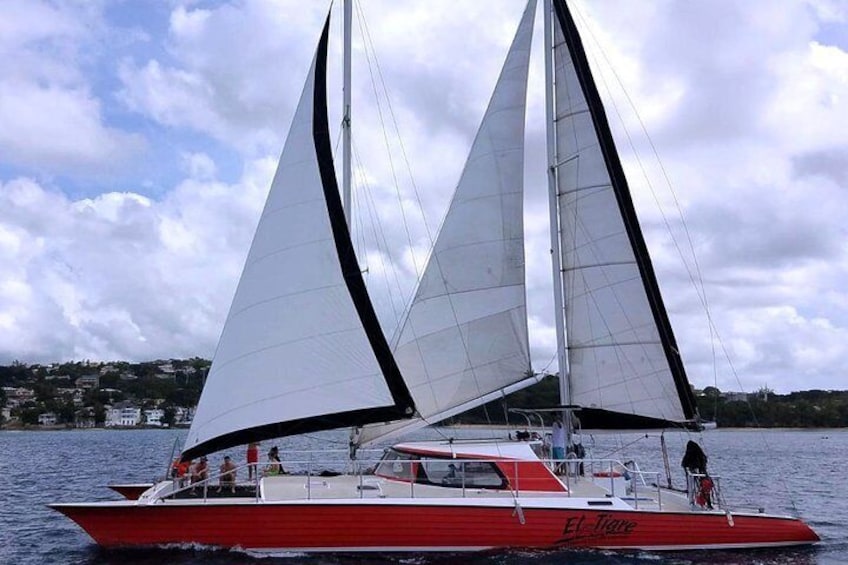 Barbados Catamaran Snorkeling Cruise