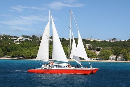 Barbados Catamaran Turtle and Shipwreck Snorkelling Cruise