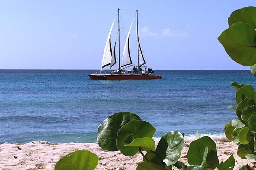 Barbados Catamaran Snorkeling Cruise