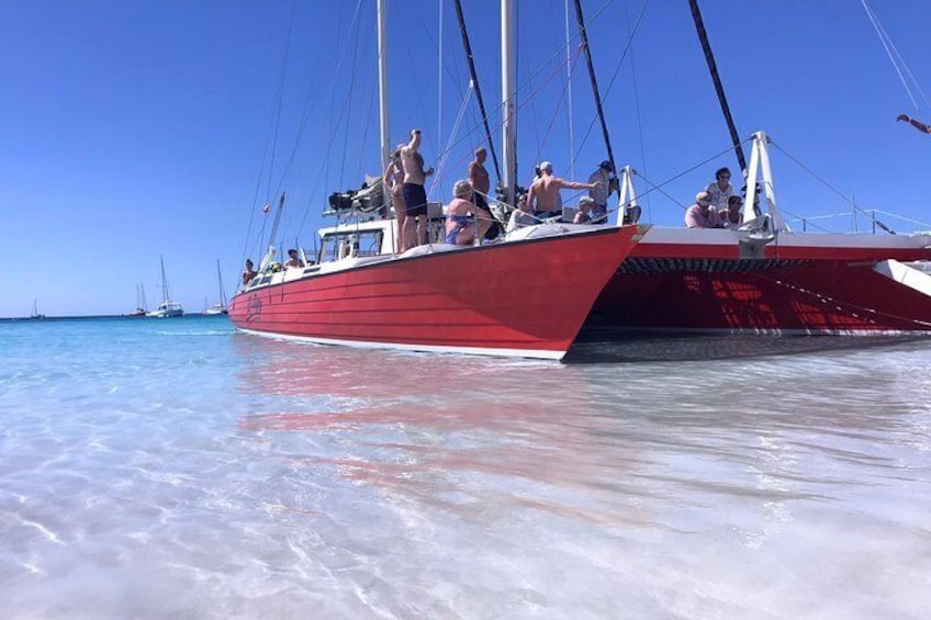 Barbados Catamaran Snorkeling Cruise