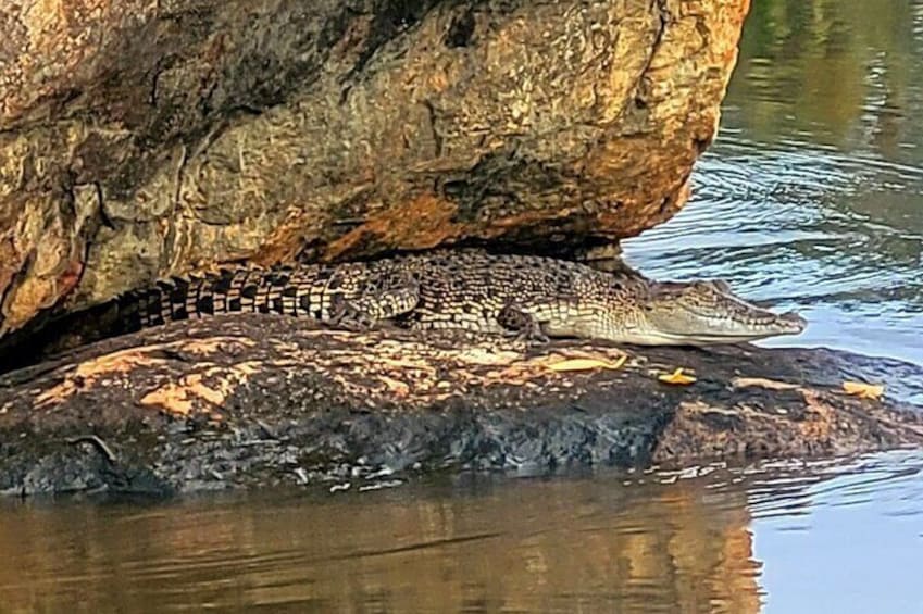 Bentota River Safari