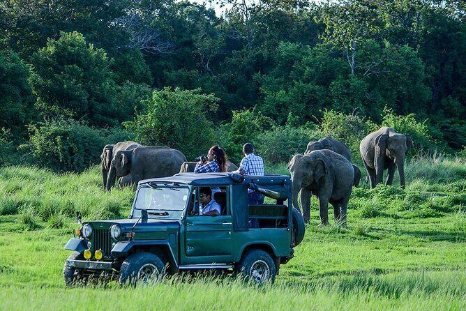 Udawalawe Safari Day Trip From Galle , Unawatuna & Surroundings - All ...