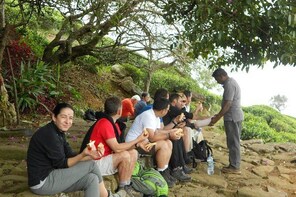 2,Days Trekking from Haputale to Ella Through Tea Plantation and Ella Rock,