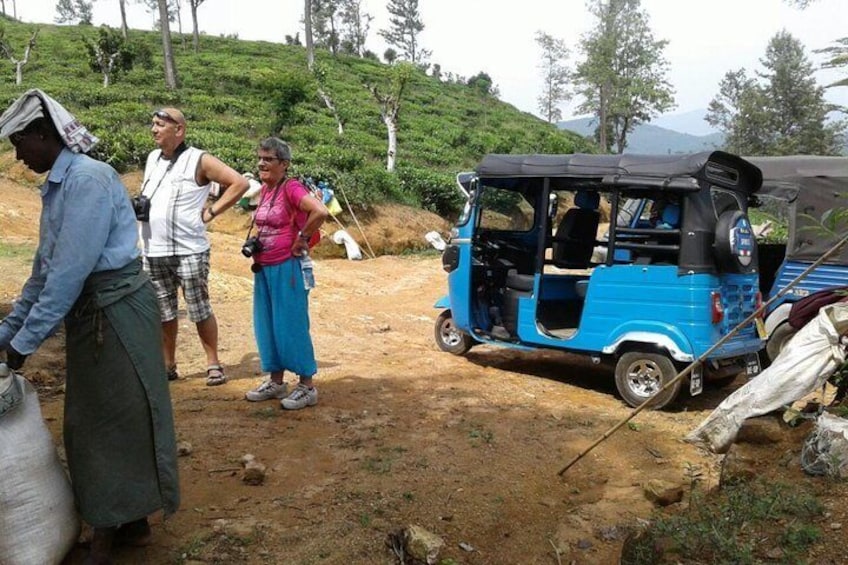 Tea & Tuk Tuk Experience 