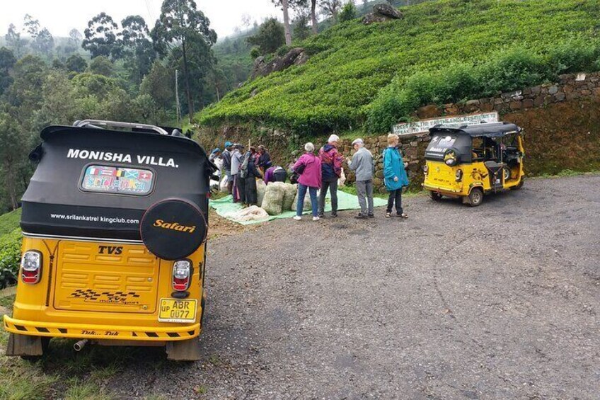 Tuk Tuk Safari in Tea plantation, View Points, Water Falls, Spice Plantations