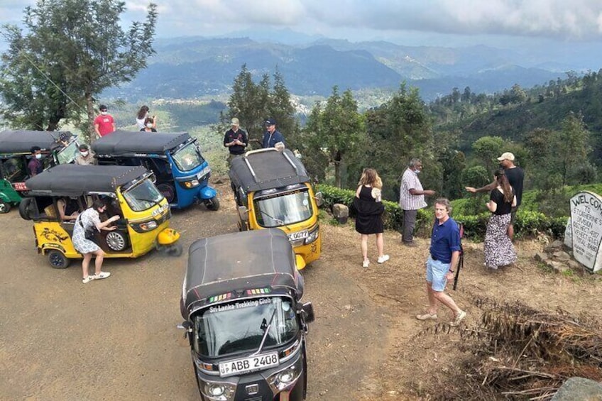 Tea & Tuk Tuk Experience 