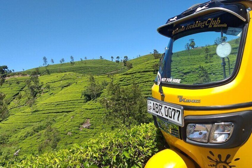 Tea & Tuk Tuk Experience