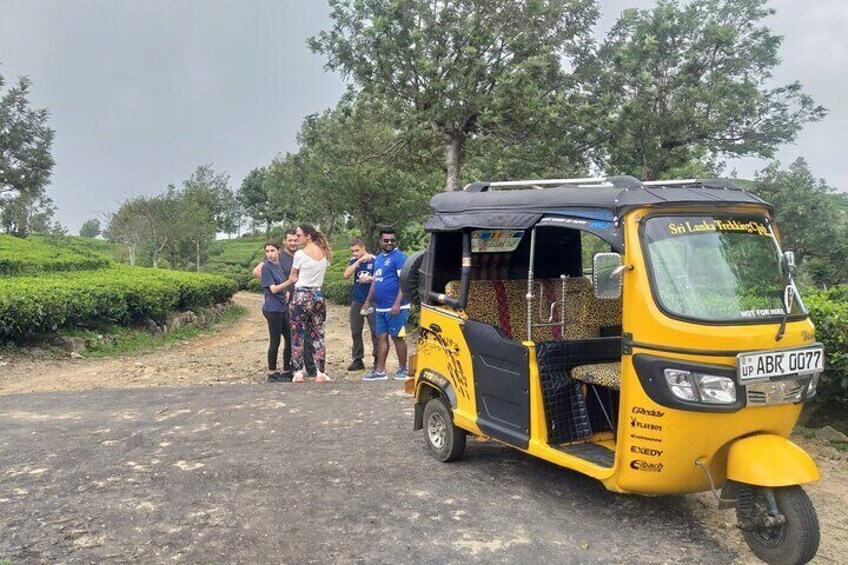 Tea & Tuk Tuk Experience