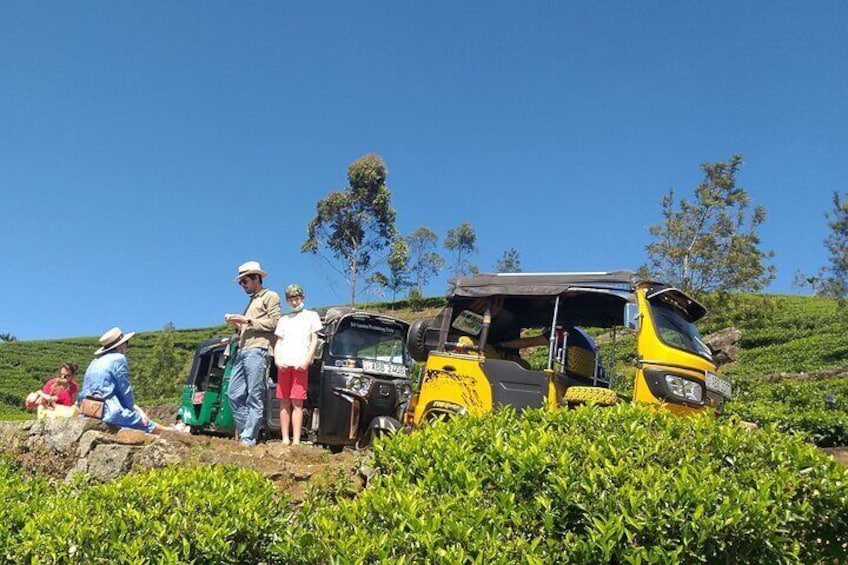 Tea & Tuk Tuk Experience 