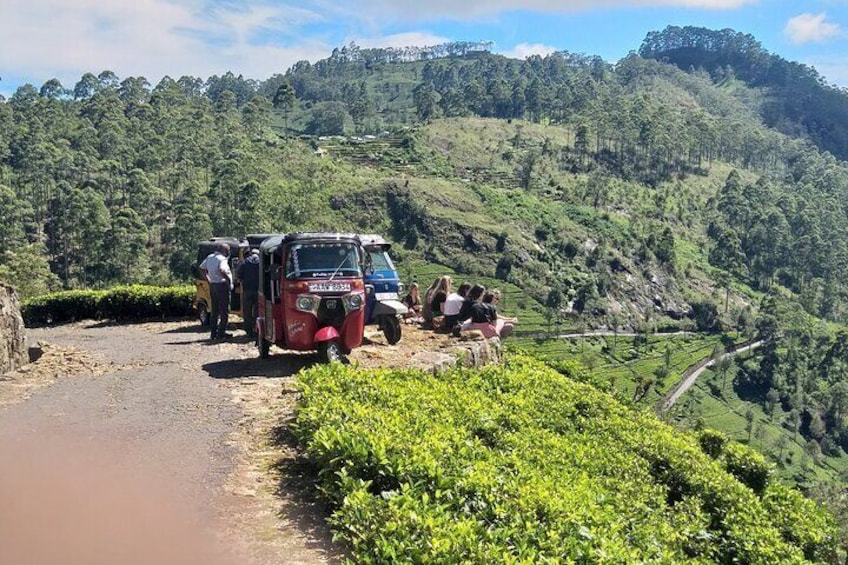 Tea & Tuk Tuk Experience 