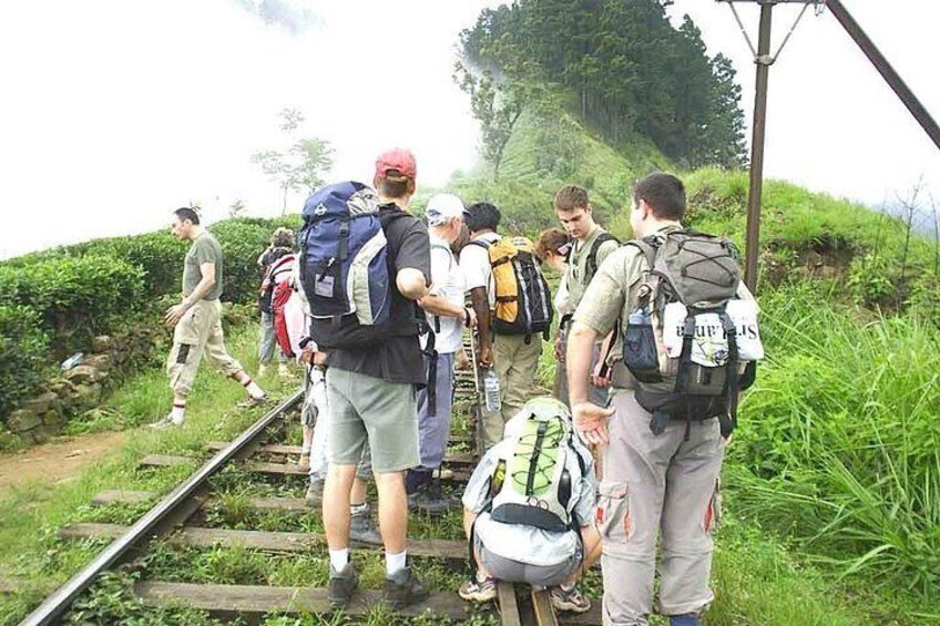 3,Days Trekking Through the Misty Mountain & Horton Plaine from Ella,Haputale