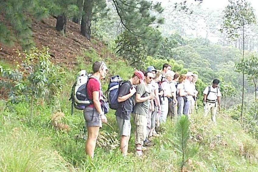 3,Days Trekking Through the Misty Mountain & Horton Plaine from Ella,Haputale