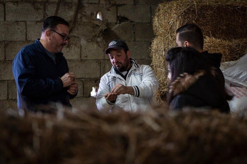 Local dairy farmer explaining his work to travelers in Il Turuziello.