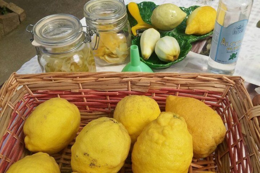 Sorrento Farm Experience Including Tastings, Pizza Making and Limoncello