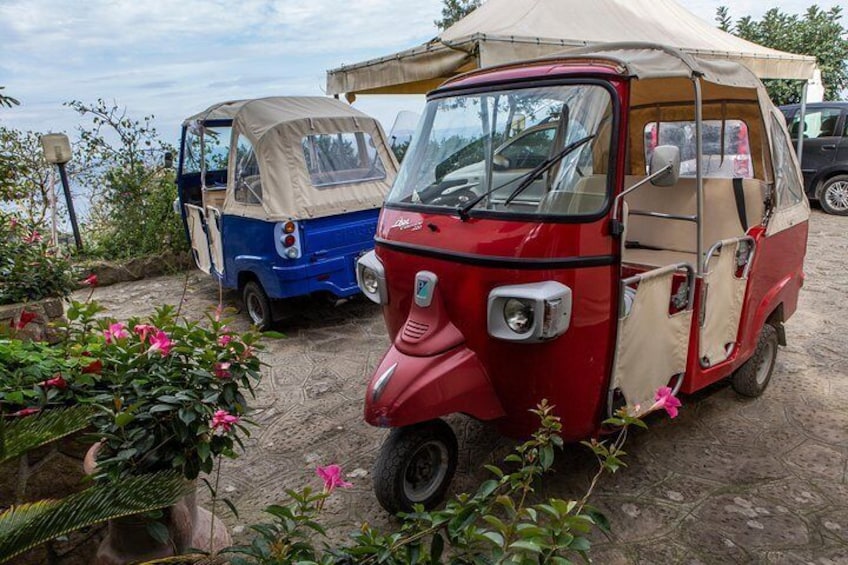 Hair in the wind and eyes on the pizza-shaped prize: enjoy the thrills of this traditional Italian ride as you discover Sorrento and its outskirts.