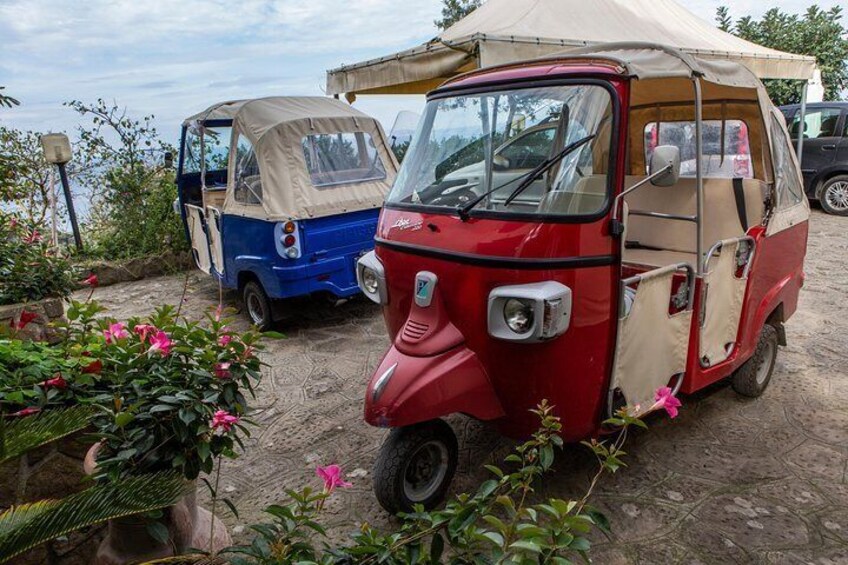 Hair in the wind and eyes on the pizza-shaped prize: enjoy the thrills of this traditional Italian ride as you discover Sorrento and its outskirts.