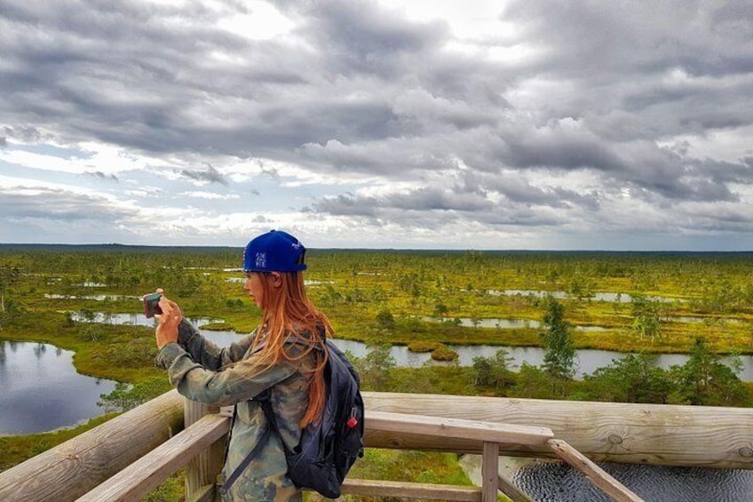From Riga: Best of Kemeri National Park In One Day
