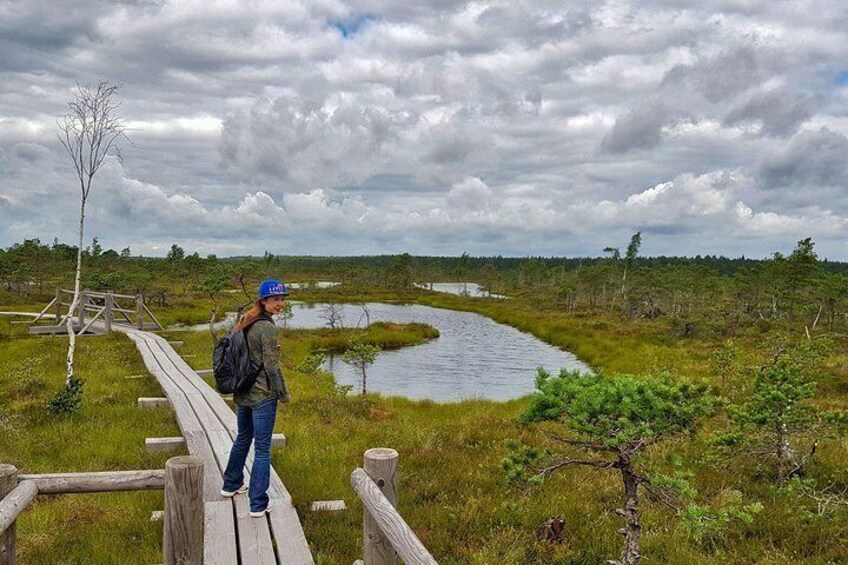 From Riga: Best of Kemeri National Park In One Day