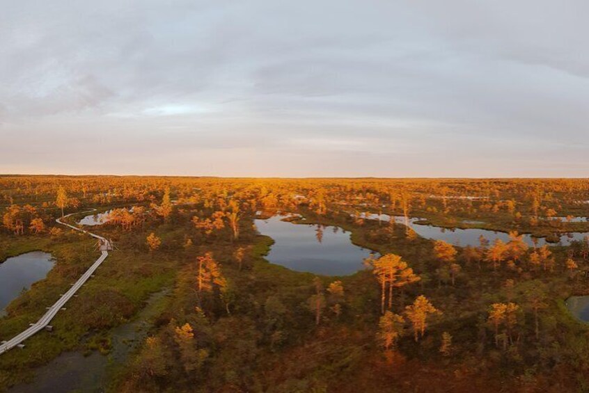 From Riga: Best of Kemeri National Park In One Day