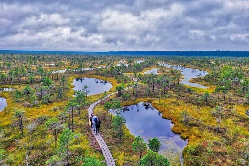 From Riga: Best of Kemeri National Park In One Day