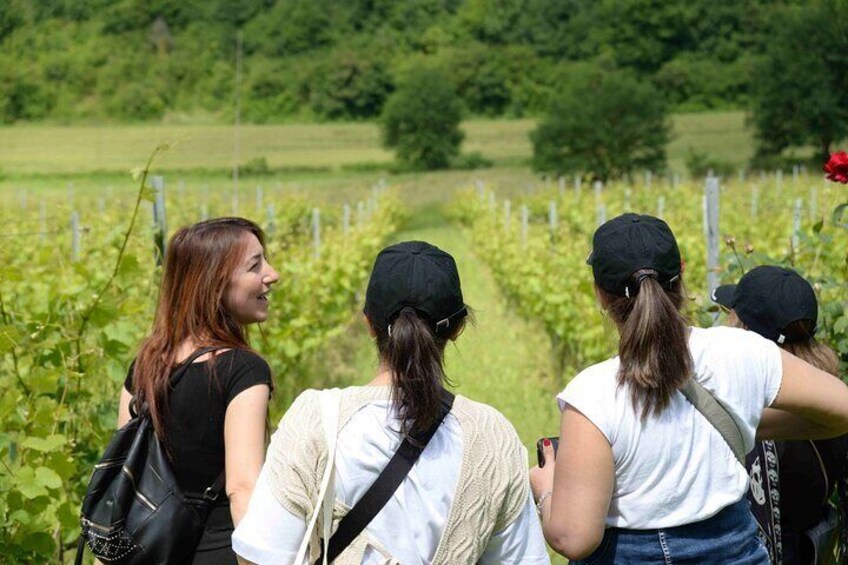 Hike & Wine Tour