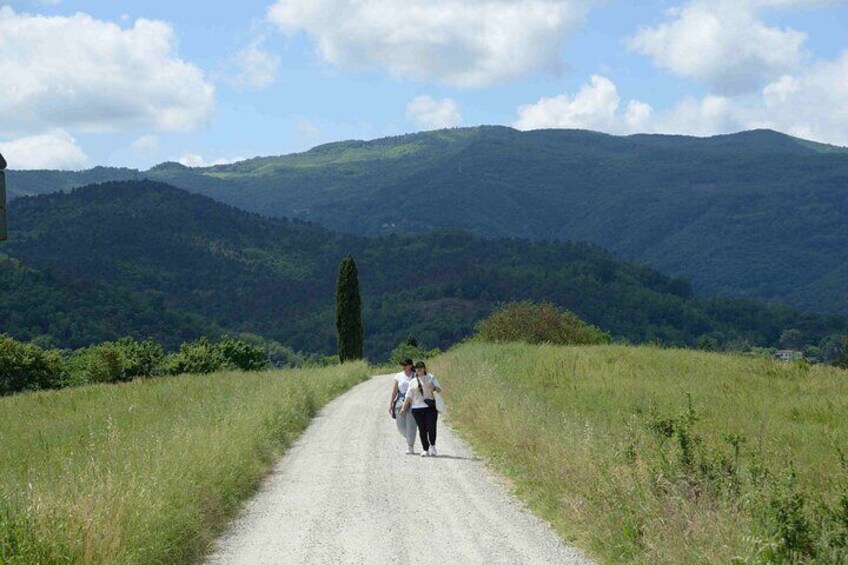 Hike & Wine Tour
