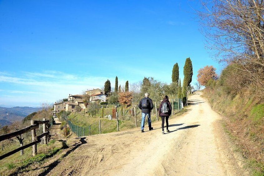 Hike & Chianti Wine Tour