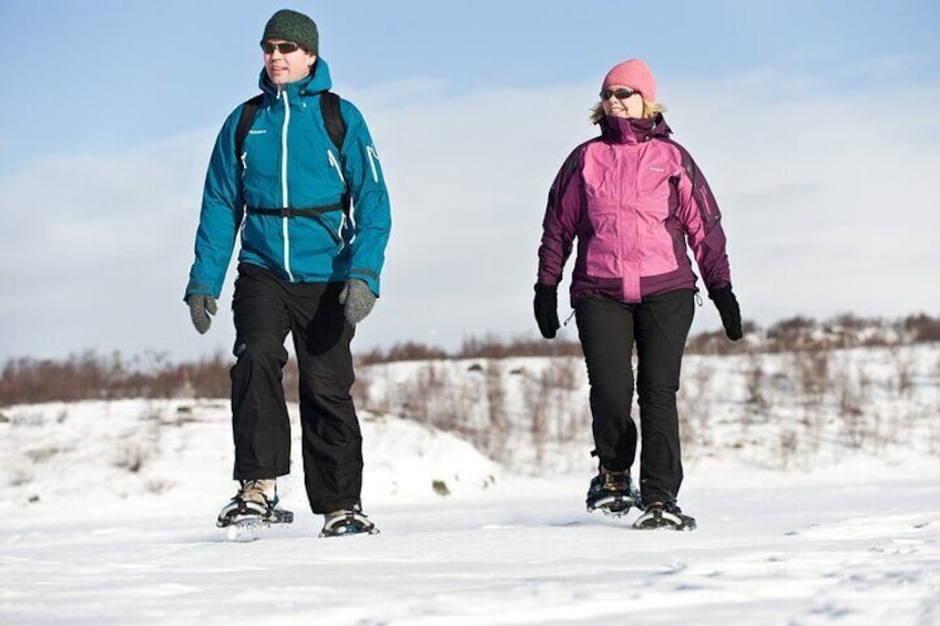 Snowshoeing Day Trip in Bodo, Northern Norway