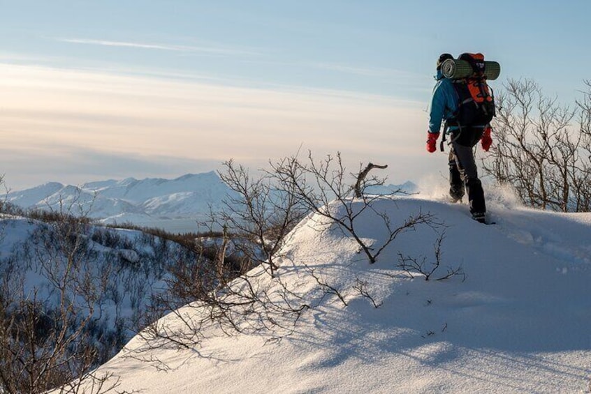 Snowshoeing Day Trip in Bodo, Northern Norway